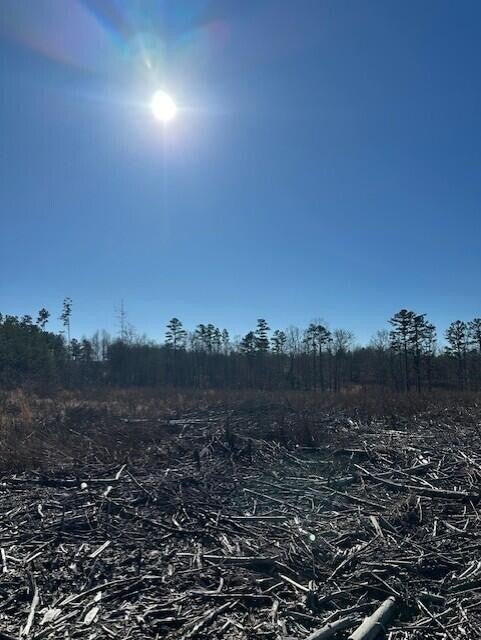 Photo of Listing #3099484