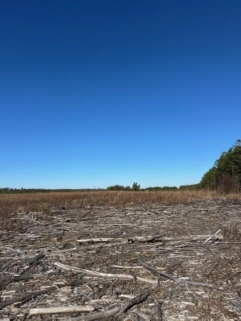 Photo of Listing #3099489