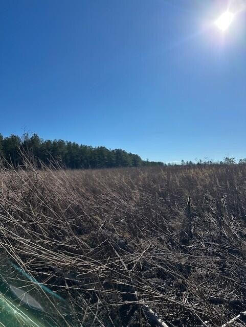 Photo of Listing #3100023