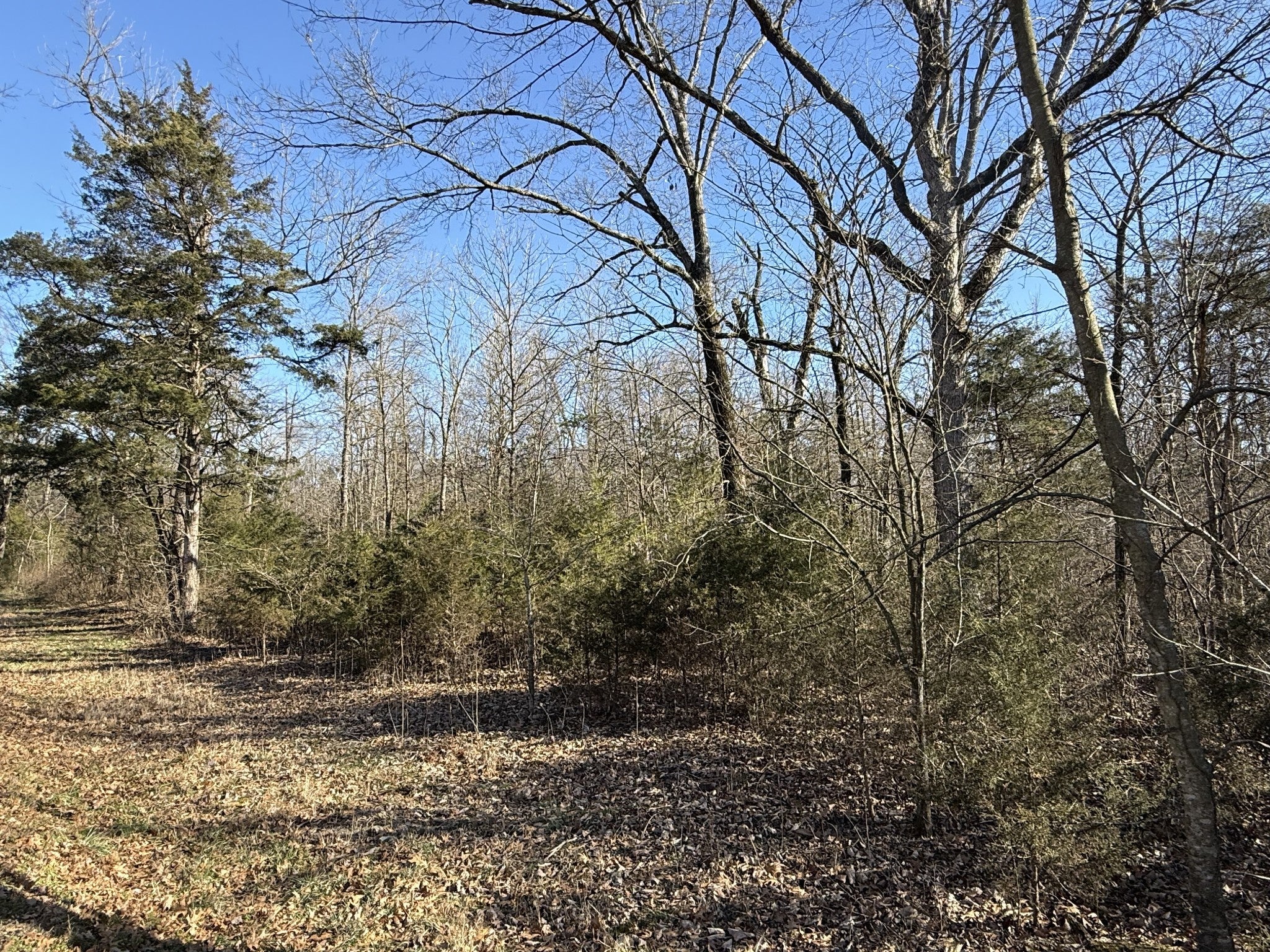 Photo of Listing #3108968