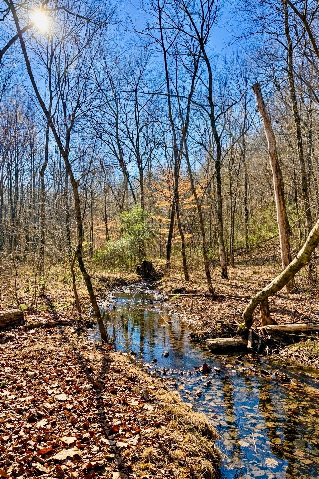 Photo of Listing #3110163