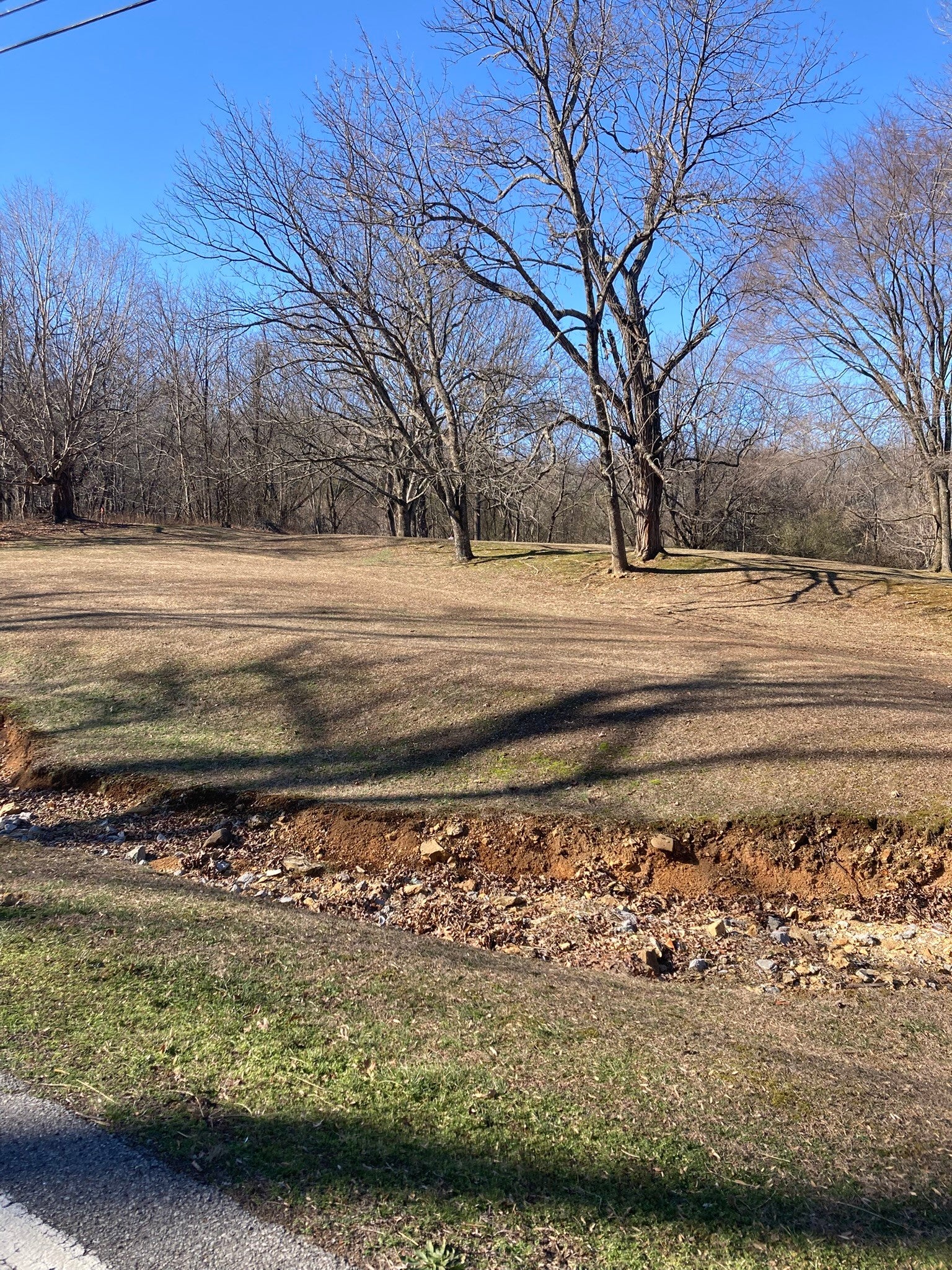 Photo of Listing #3110257