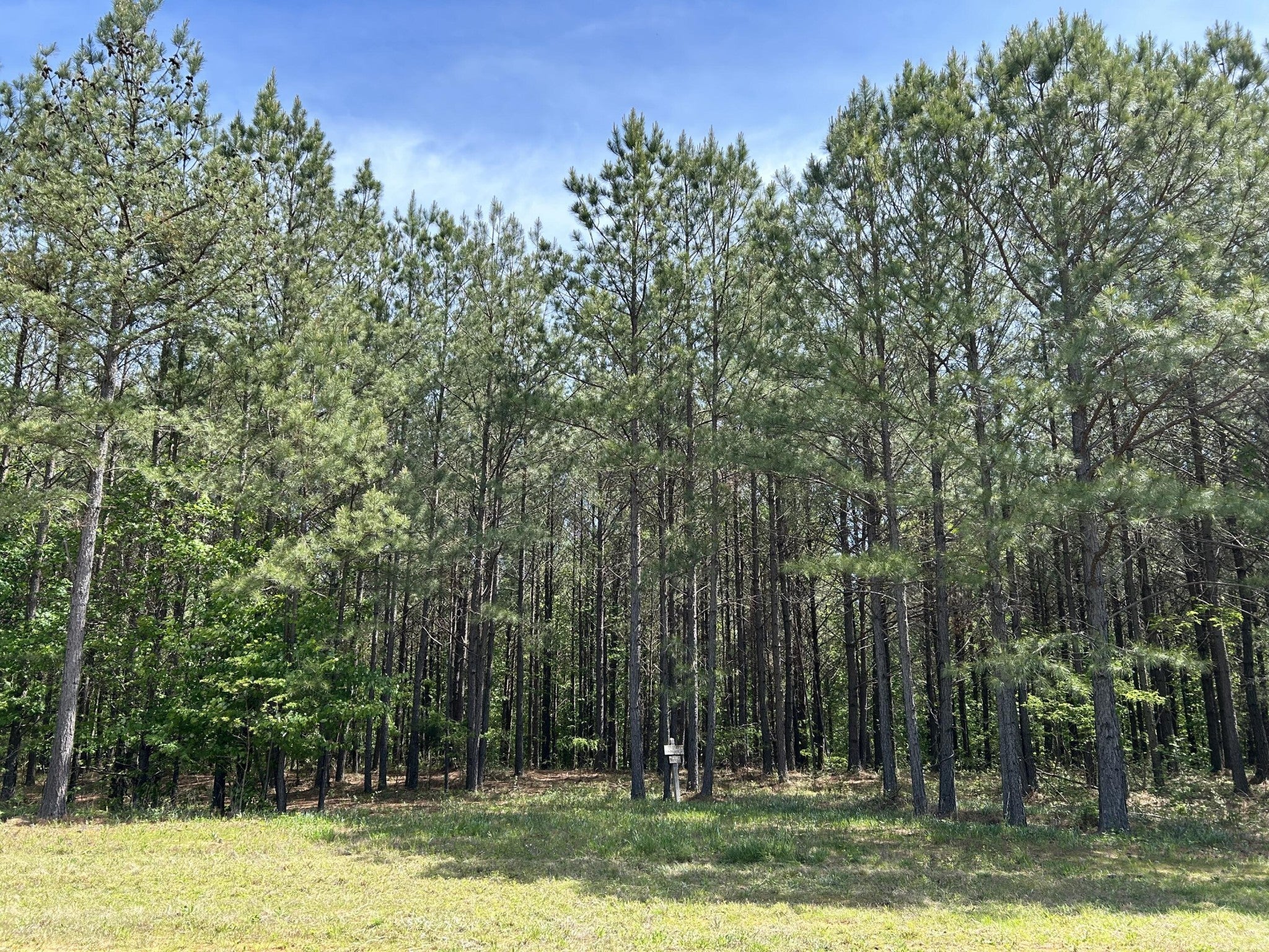 Photo of Listing #3110274