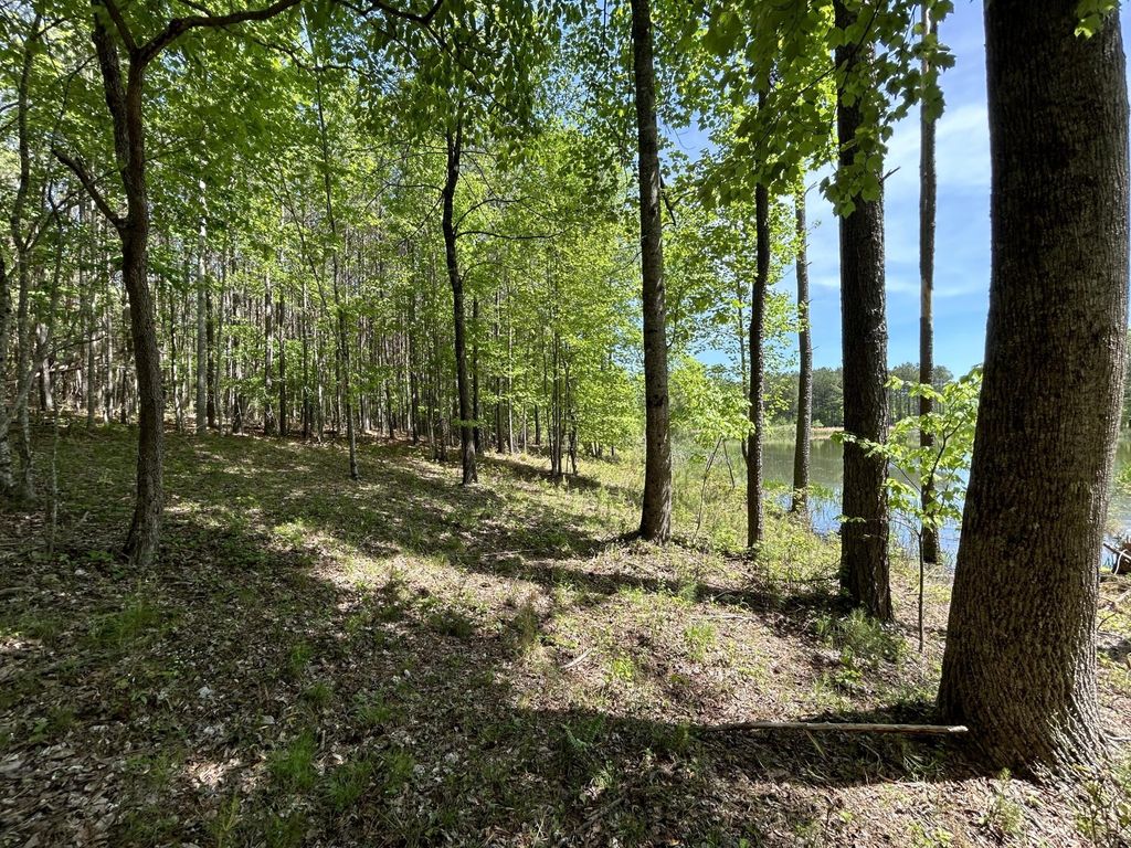 290 Bear Trace Drive, Jasper