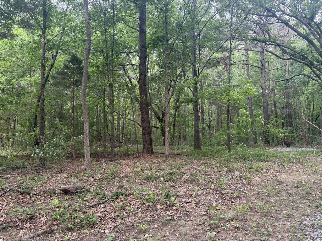 322 Kaiser Rd, Dickson