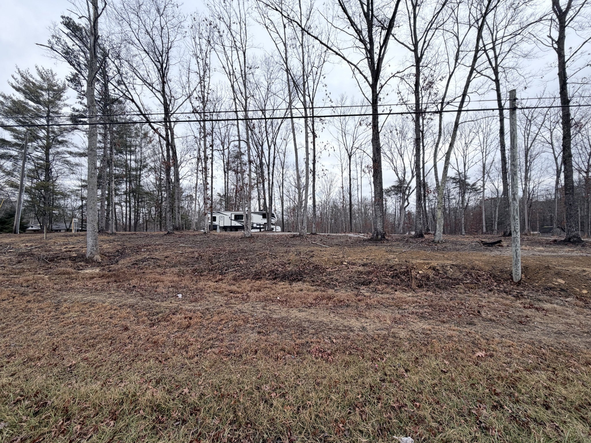 Photo of Listing #3111160