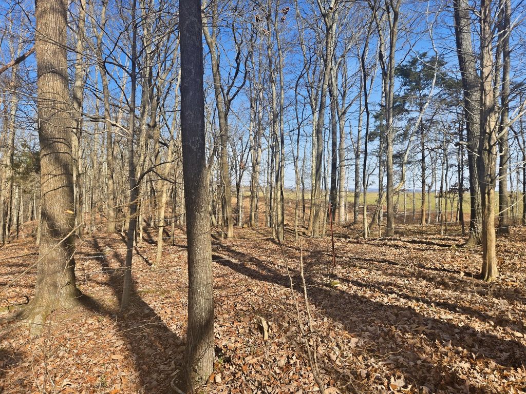0 Buckeye Road, Cumberland City
