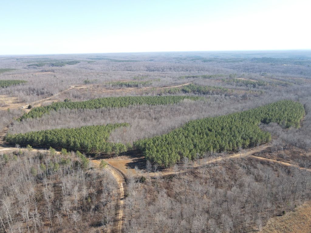 0 North Fork, Stewart