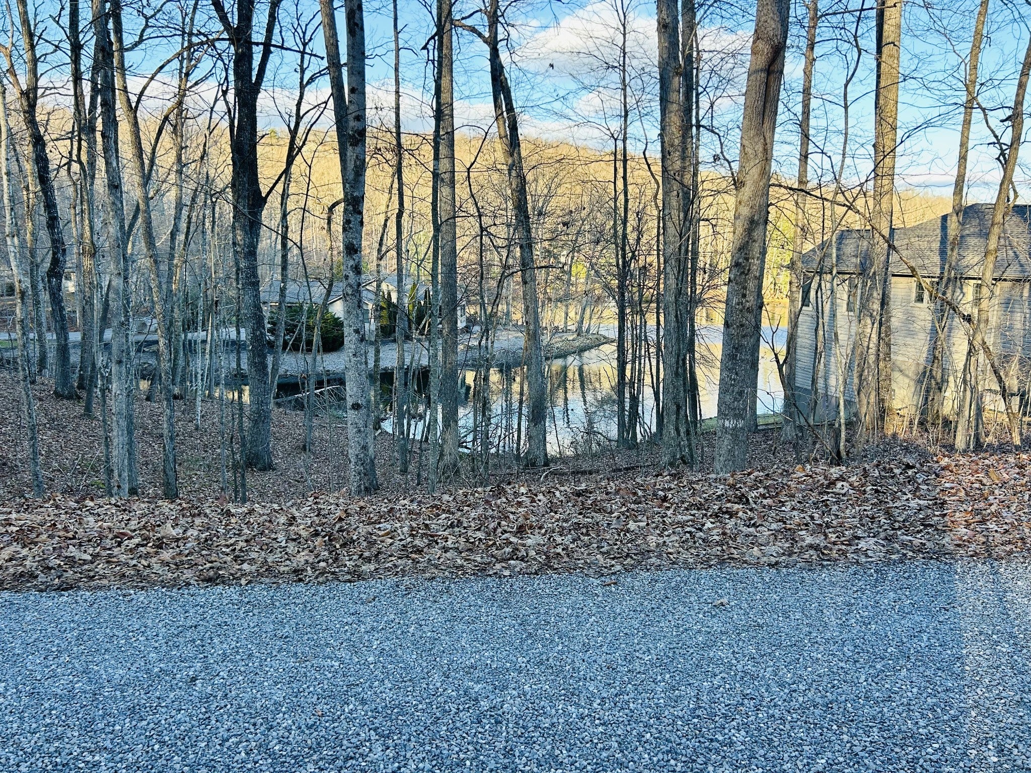 Photo of Listing #3111891