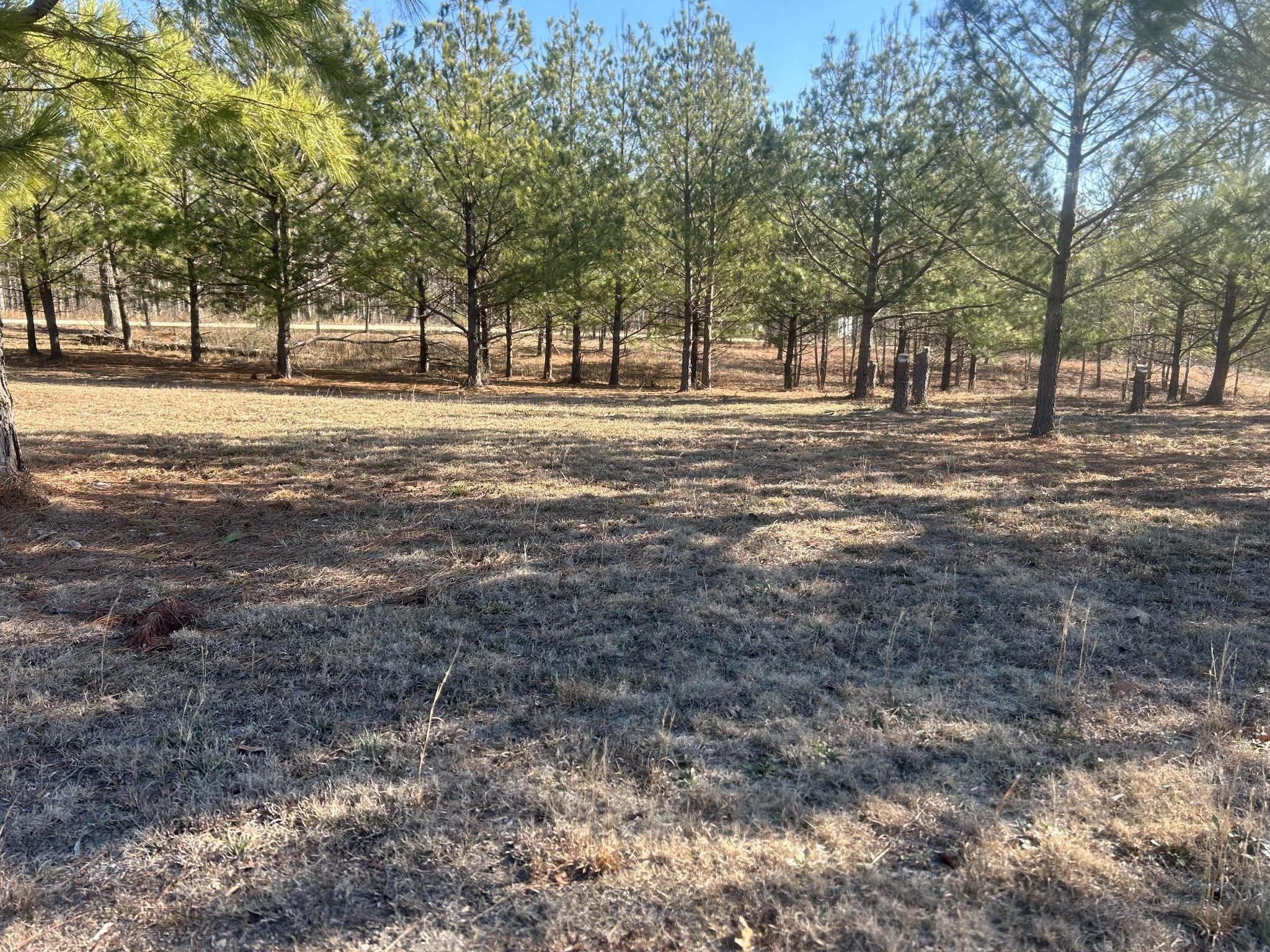 Photo of Listing #3111953