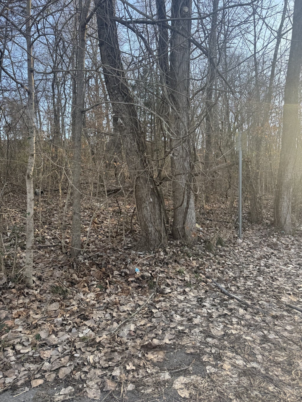 708 Peachers Dr, Clarksville