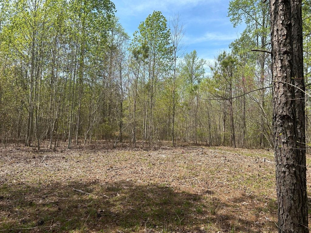 6390 Raulston Falls Rd, Jasper