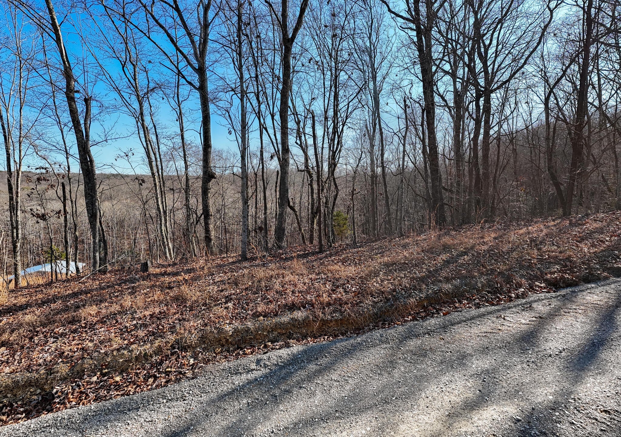 Photo of Listing #3112398