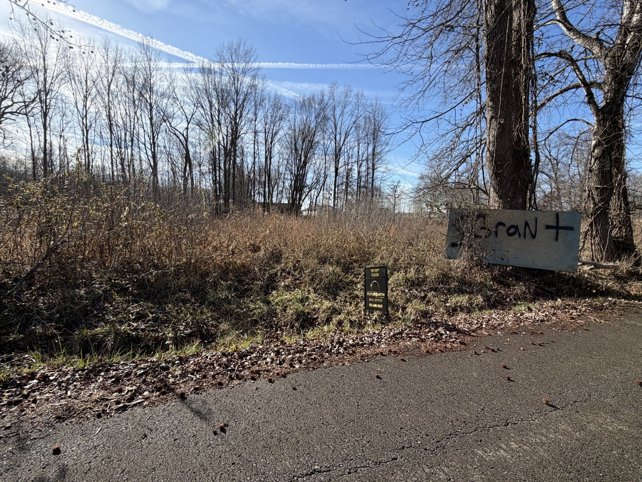 Photo of Listing #3112633