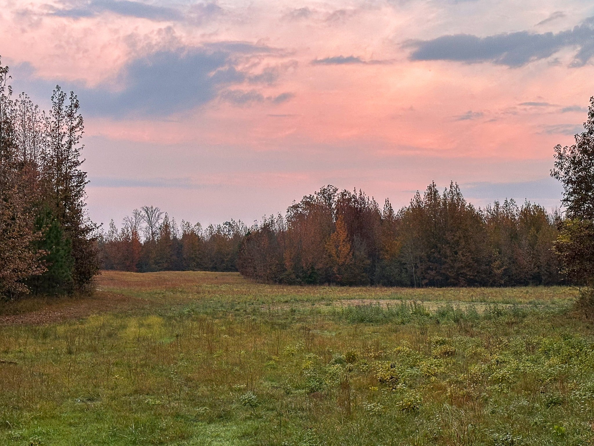 Photo of Listing #3112676