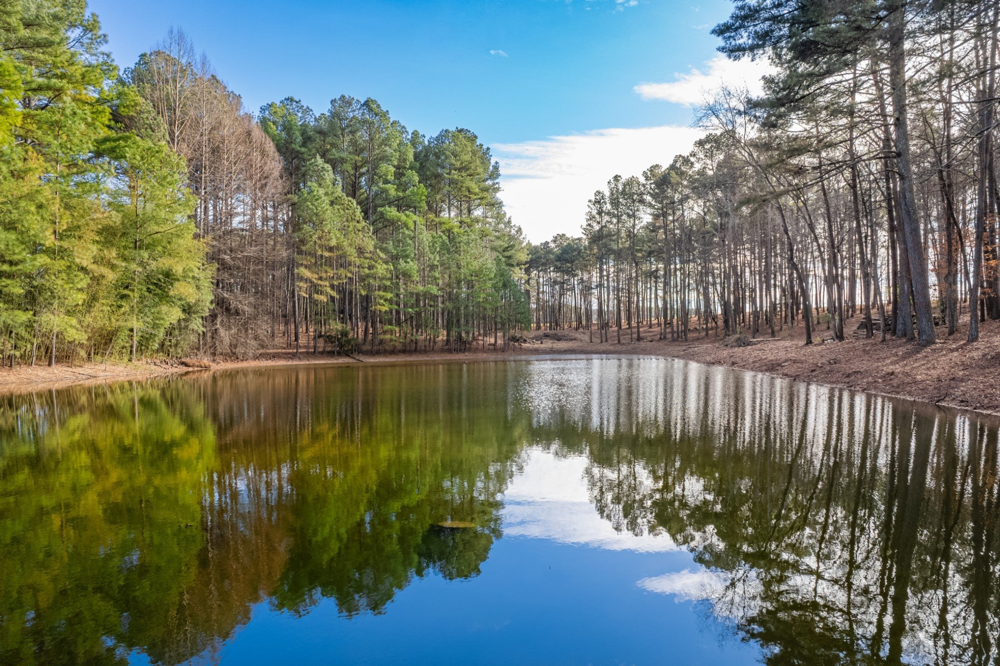 Photo of Listing #3112744