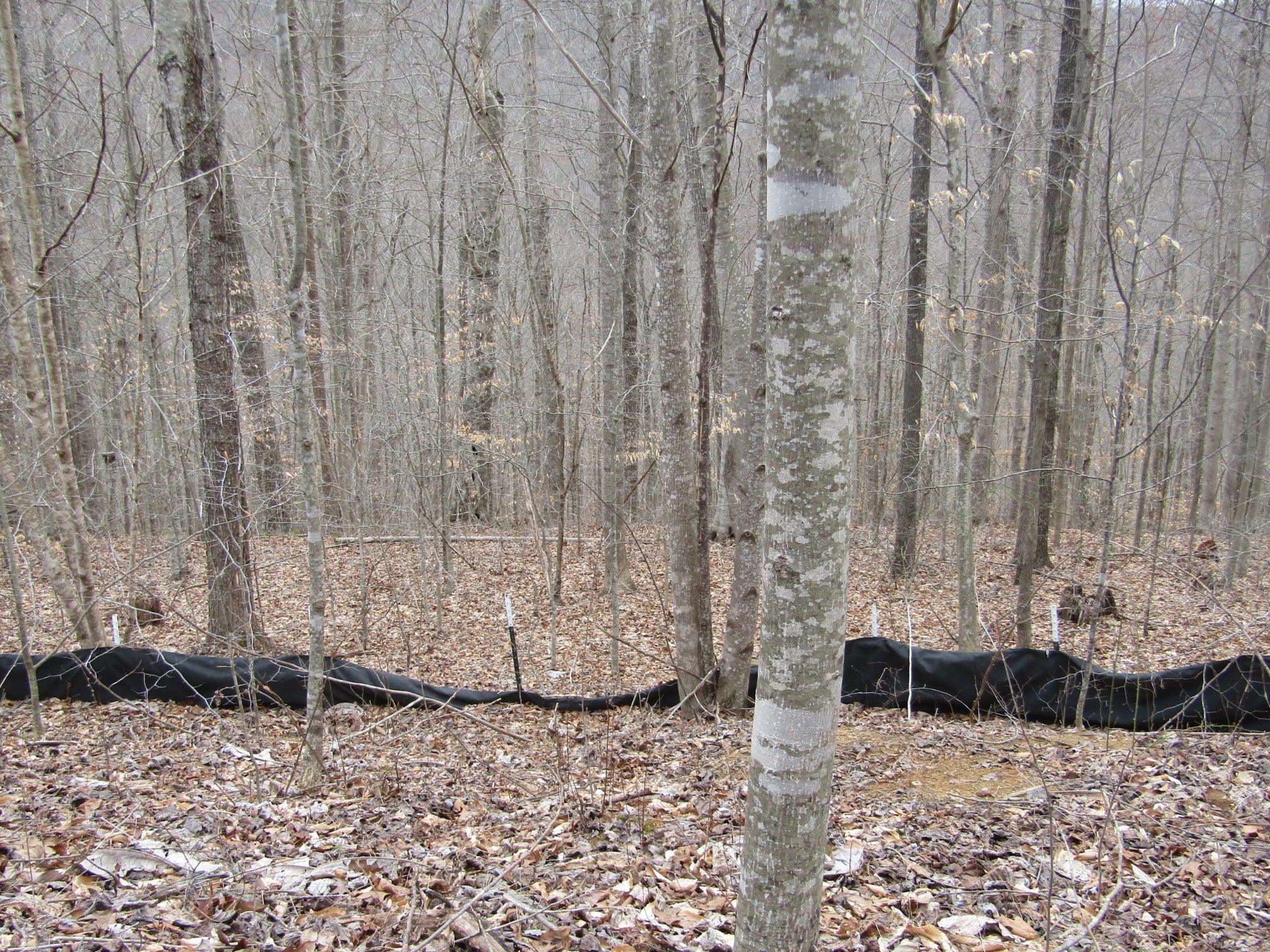 Photo of Listing #3112948