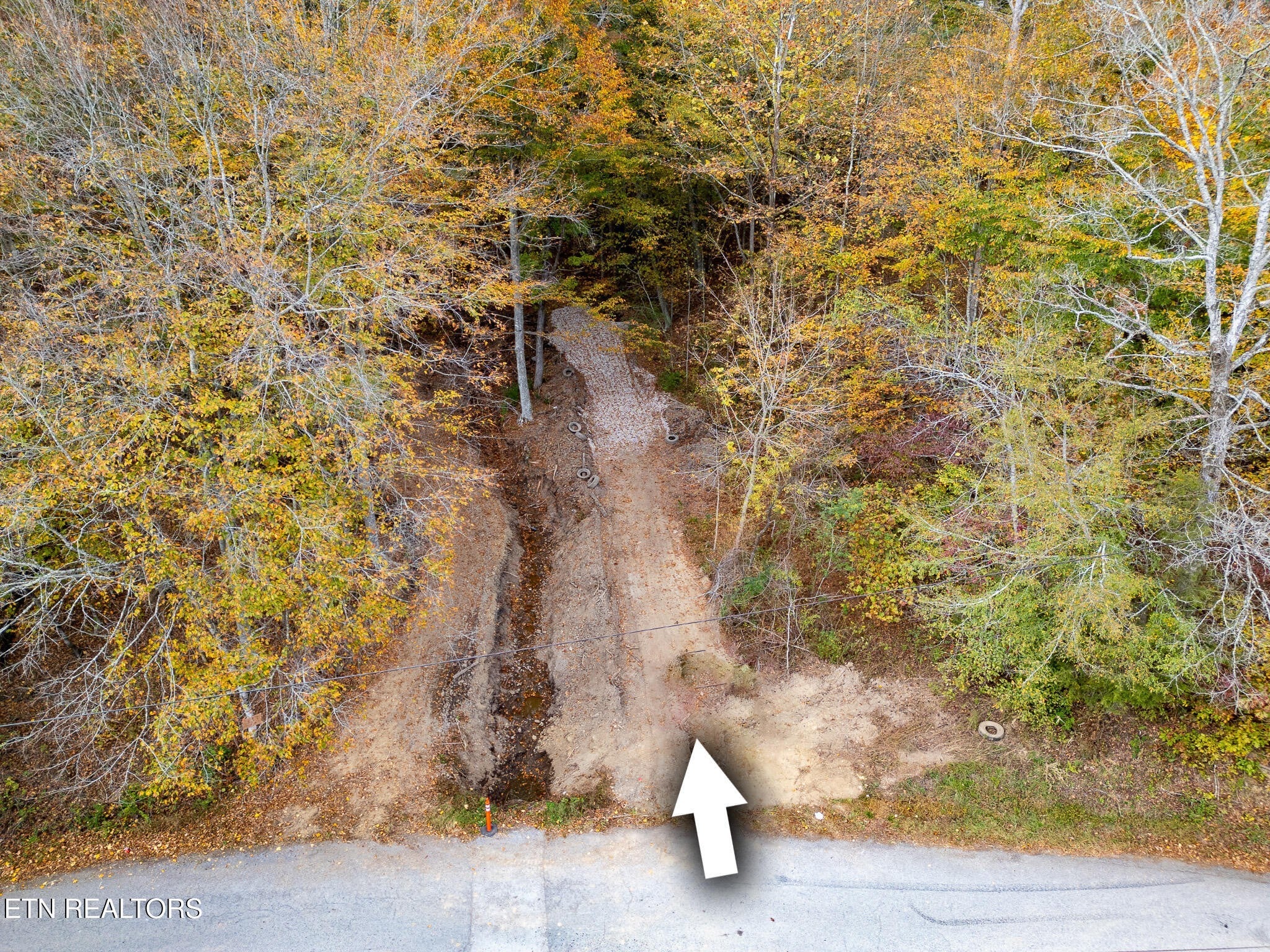 Photo of Listing #3113054