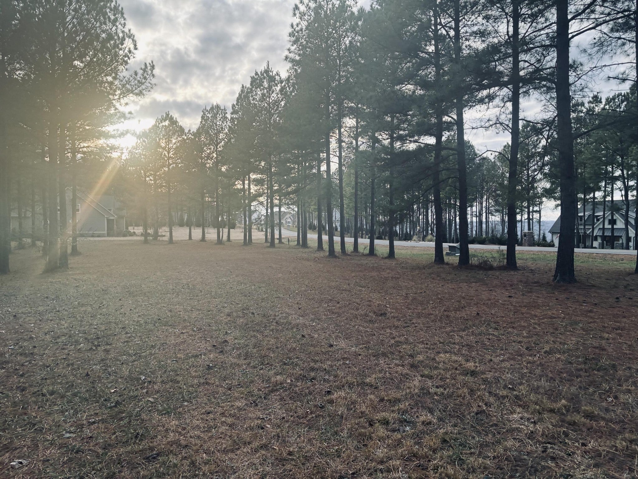 Photo of Listing #3113071