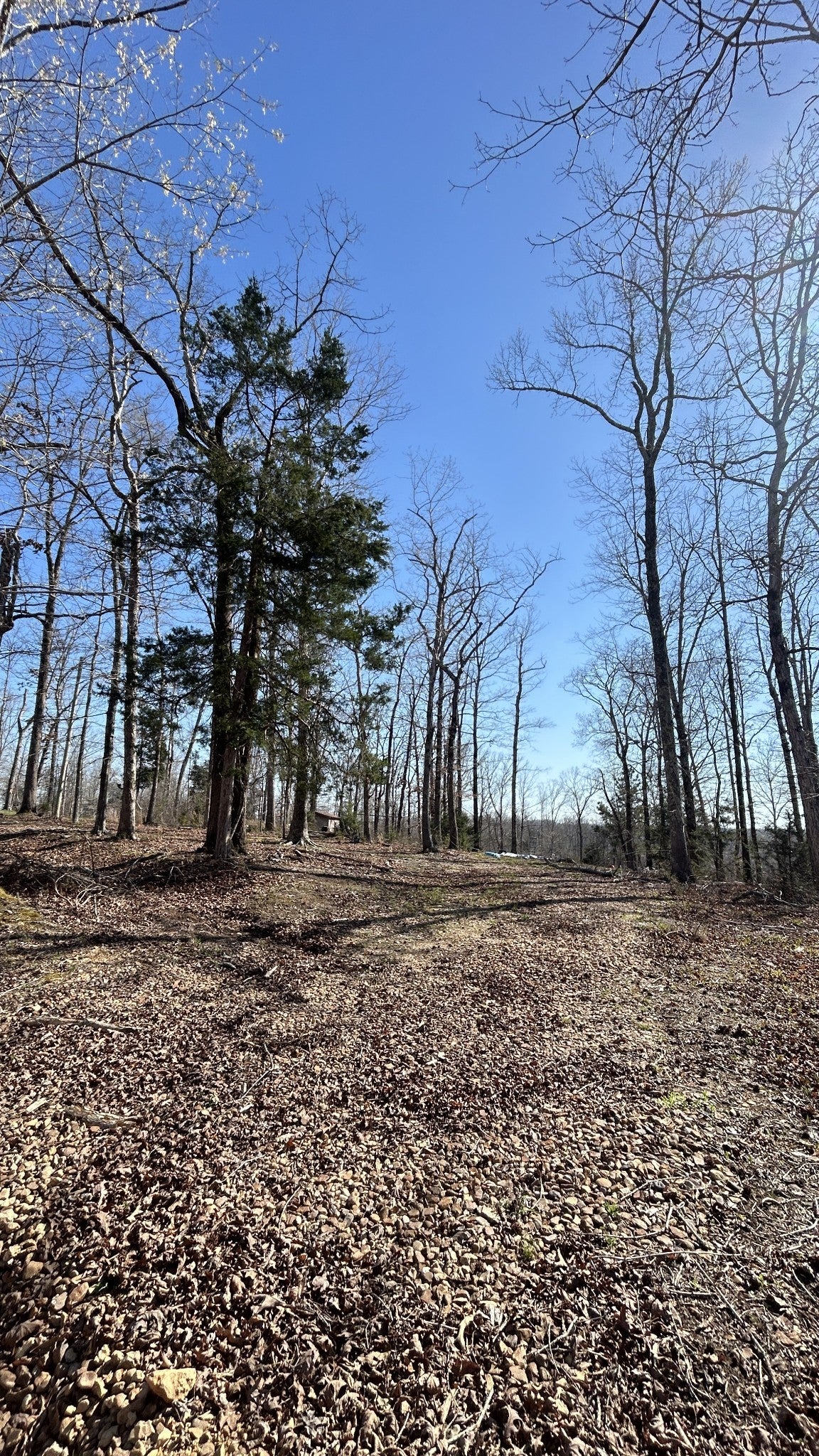 Photo of Listing #3113132