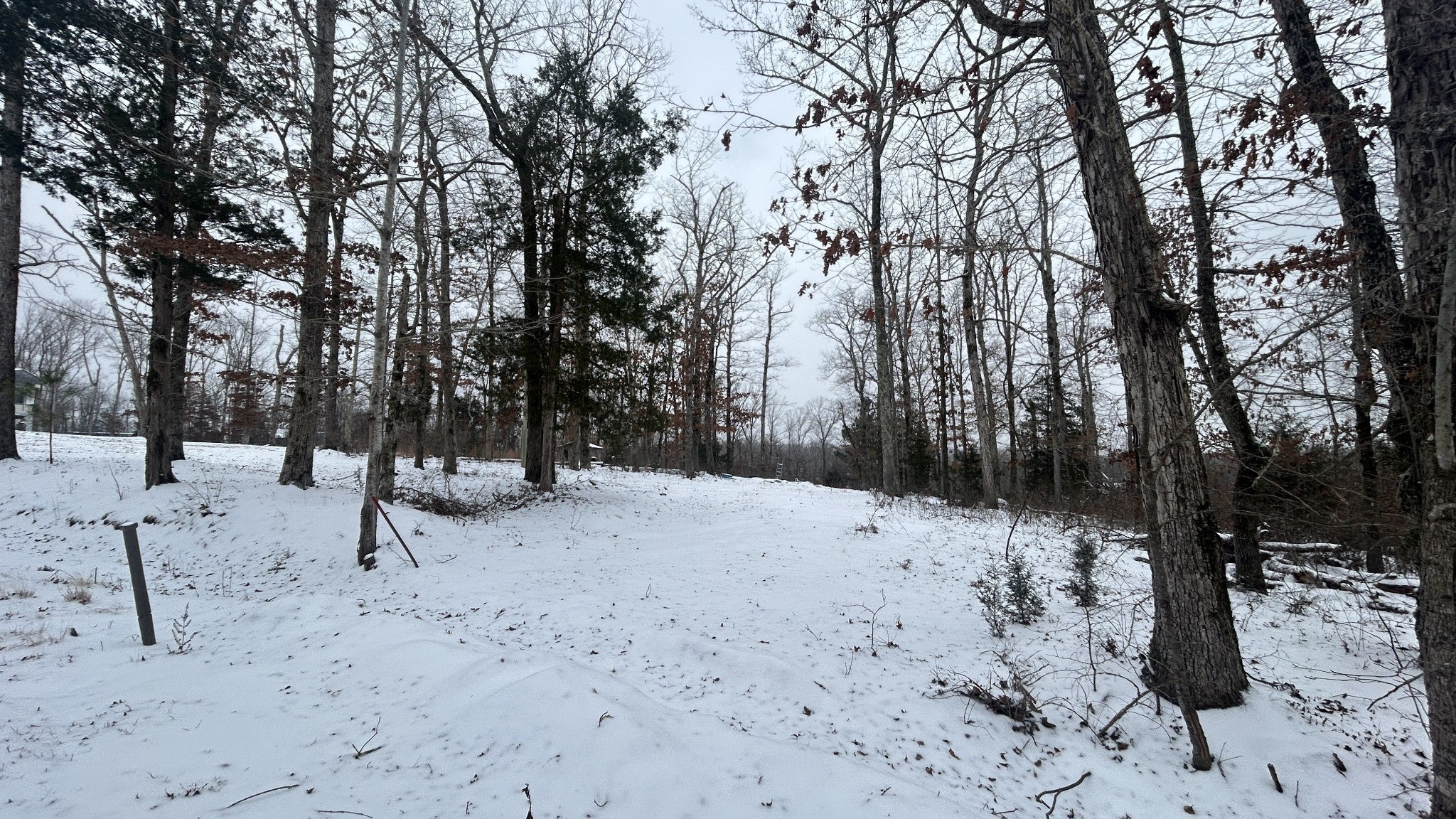 Photo of Listing #3113132