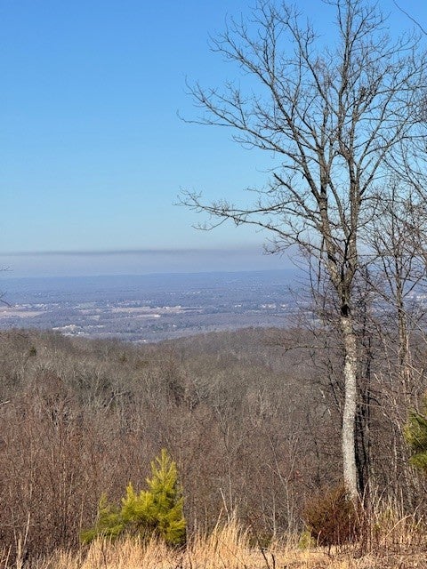 Photo of Listing #3113158