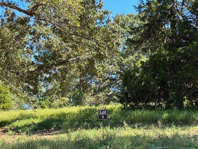 Photo of Listing #3113321