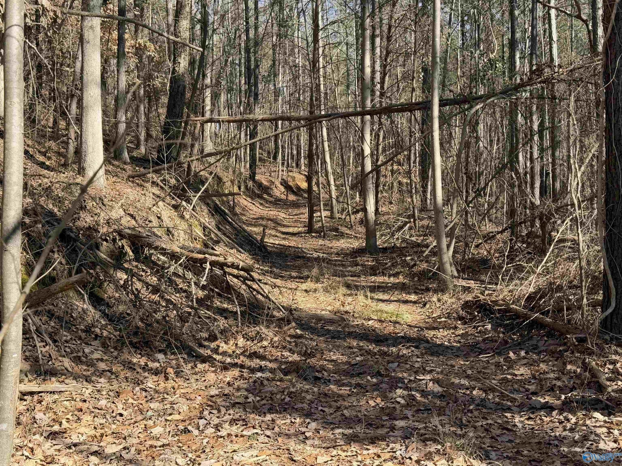 Photo of Listing #3115544