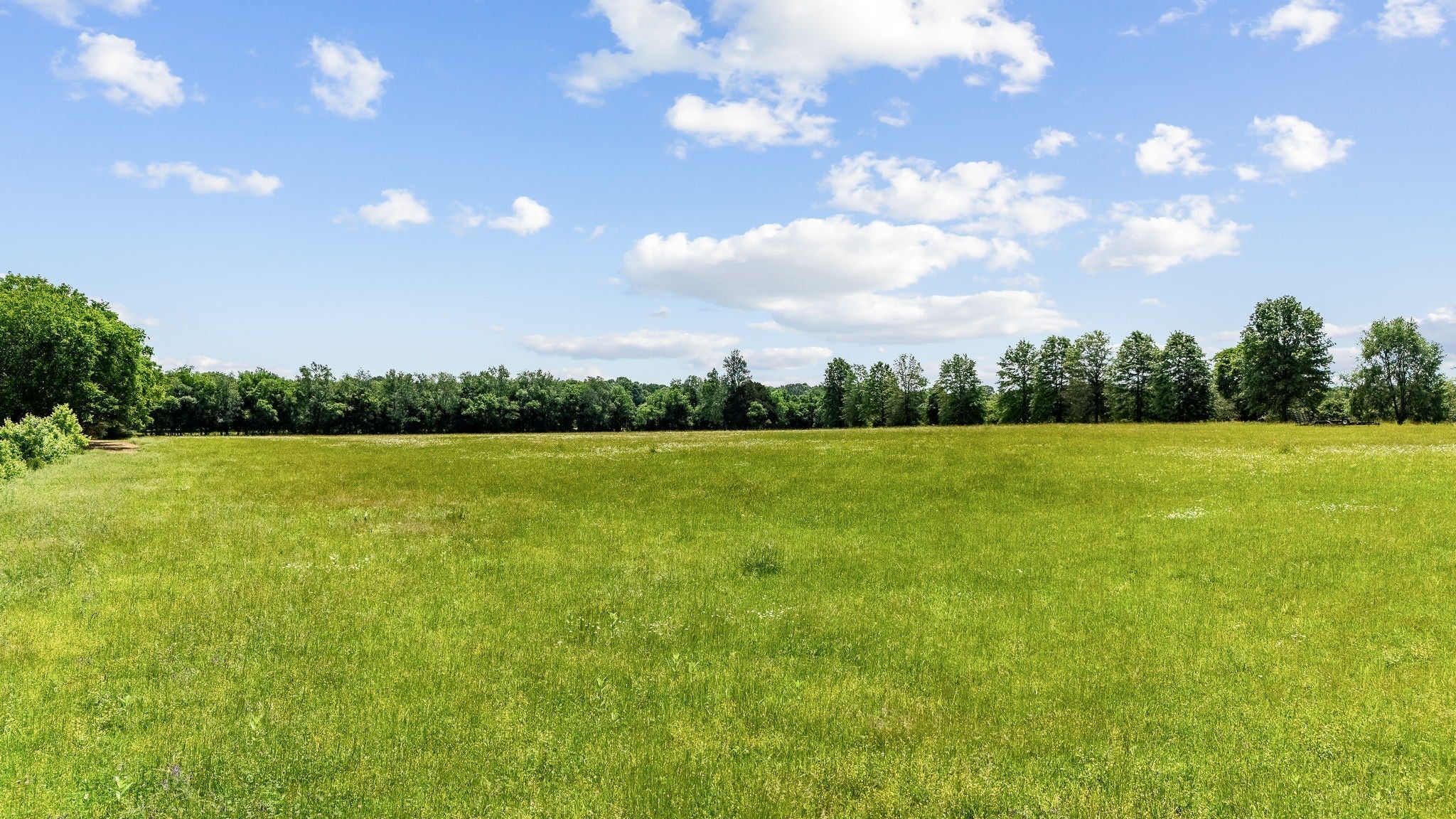 Photo of Listing #3115640