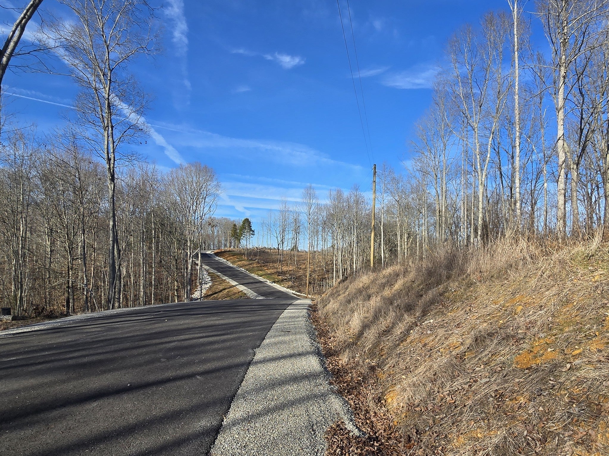 Photo of Listing #3116181