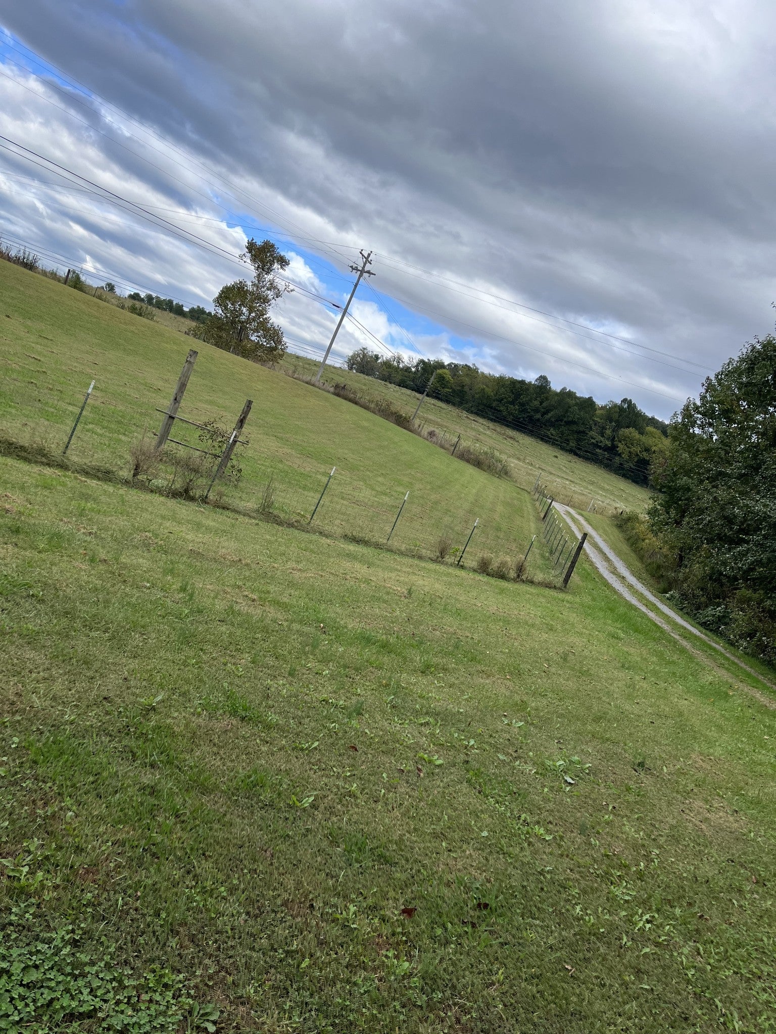 Photo of Listing #3116182