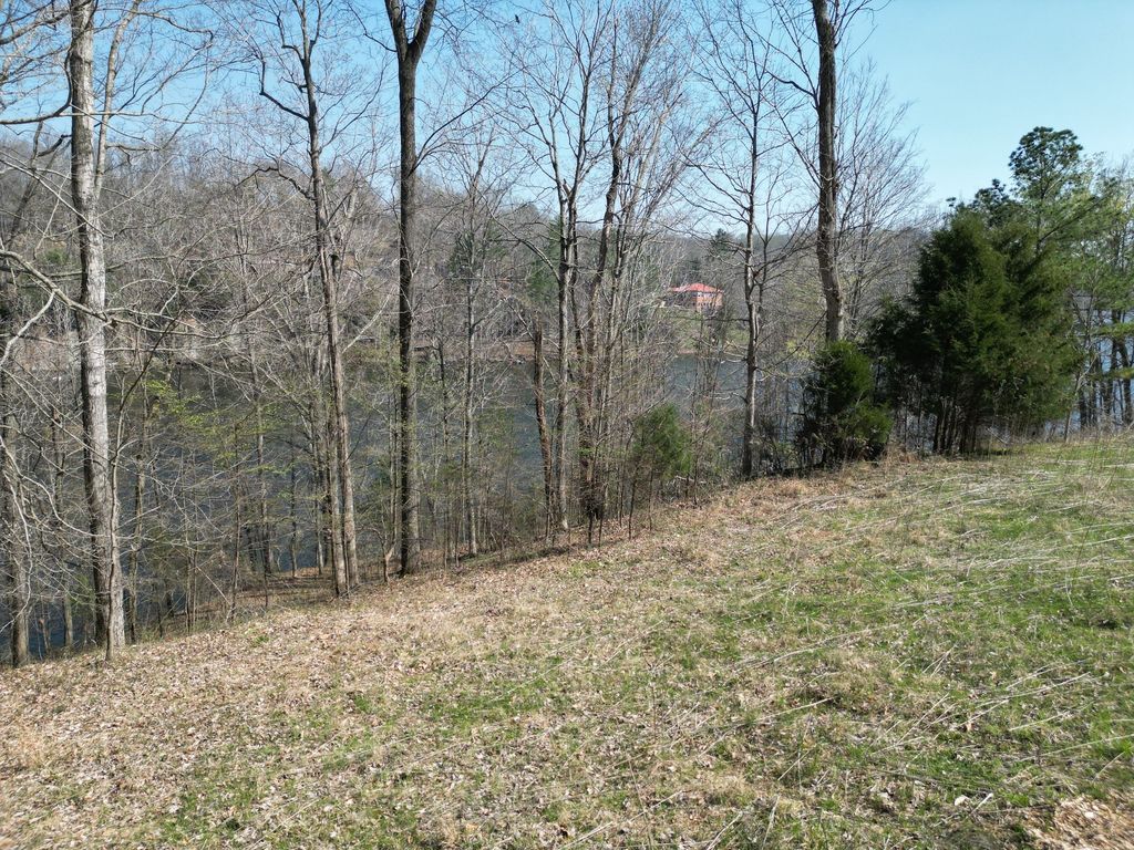 0 Canyon Run Rd, Lewisburg