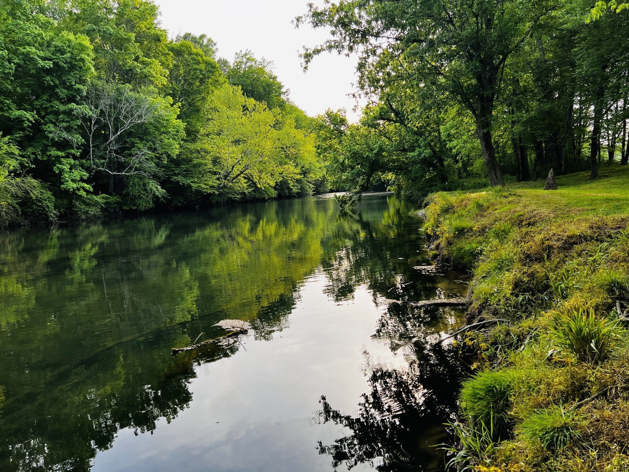 Photo of Listing #3116291