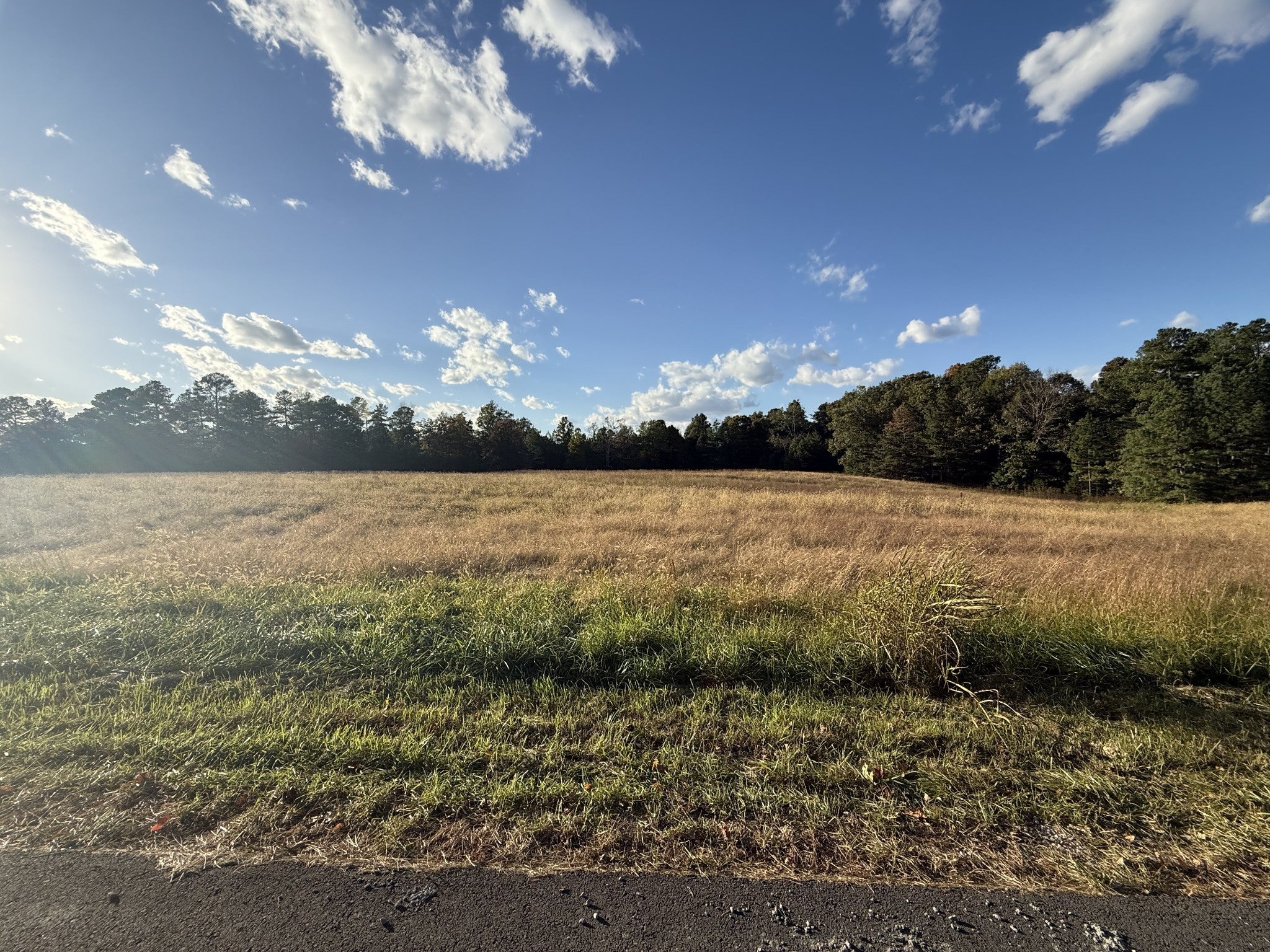 Photo of Listing #3116294