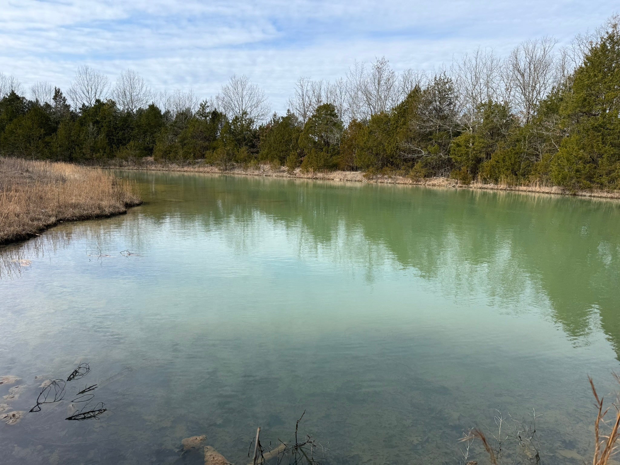 Photo of Listing #3117047