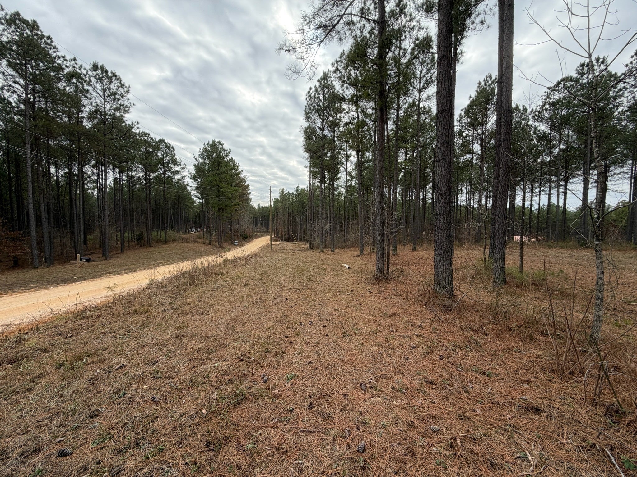 Photo of Listing #3117075