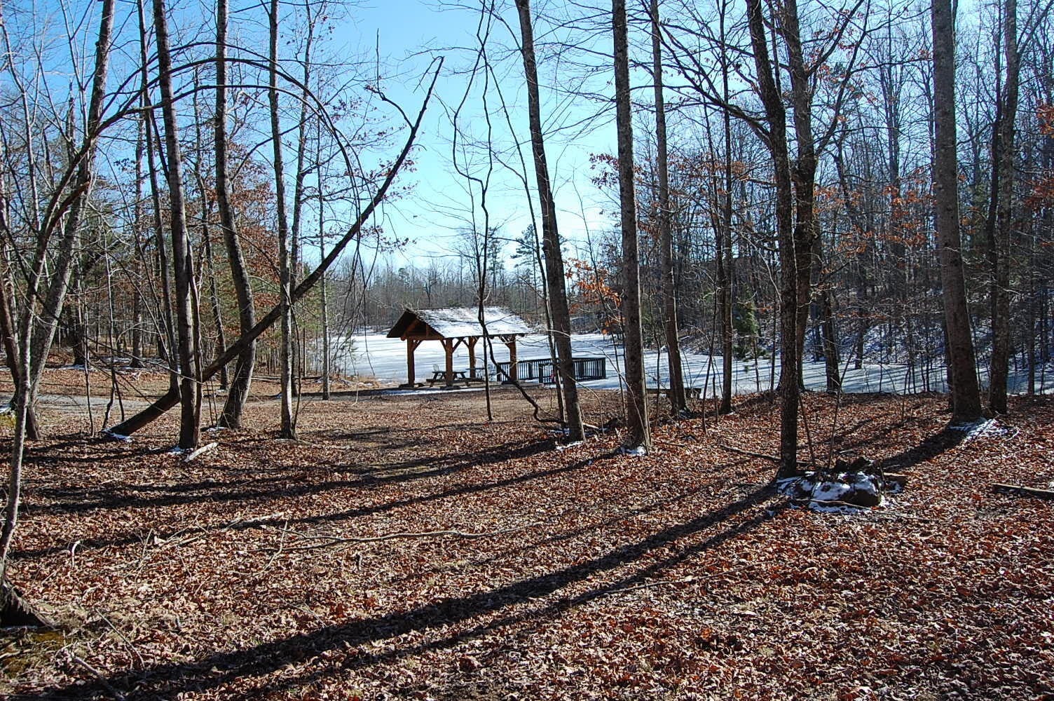 Photo of Listing #3117080