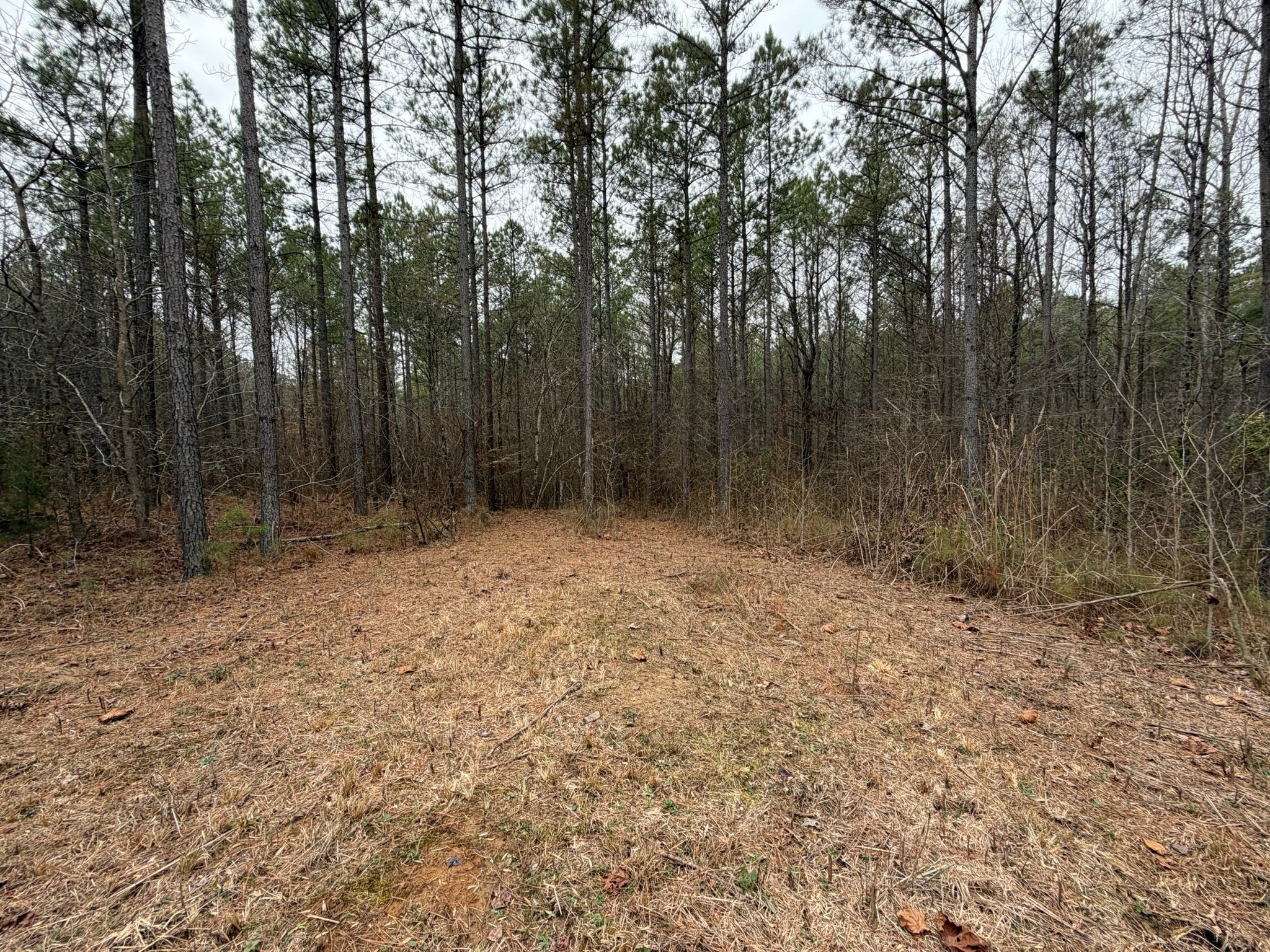 Photo of Listing #3117084