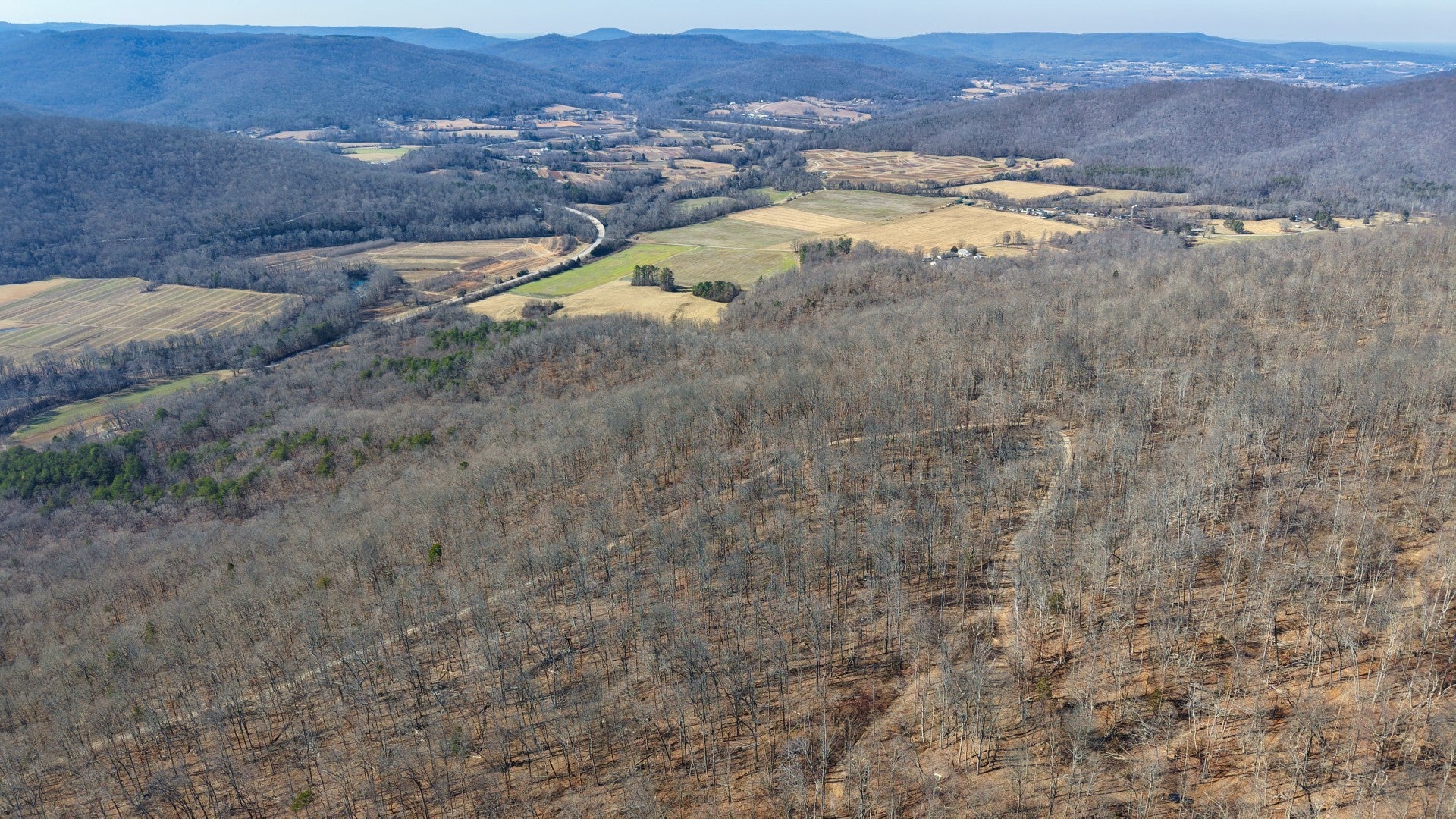 Photo of Listing #3117112