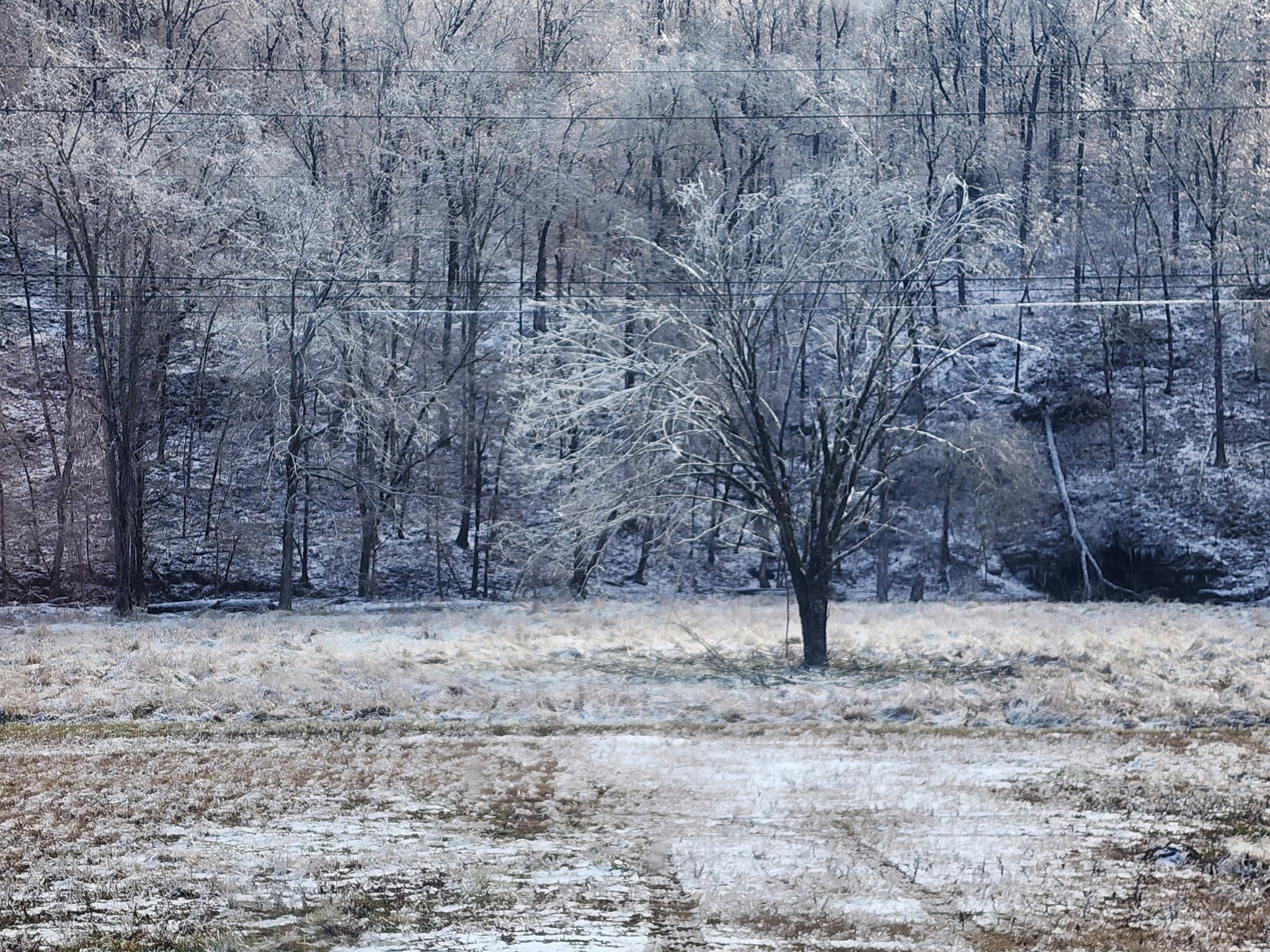 Photo of Listing #3117128