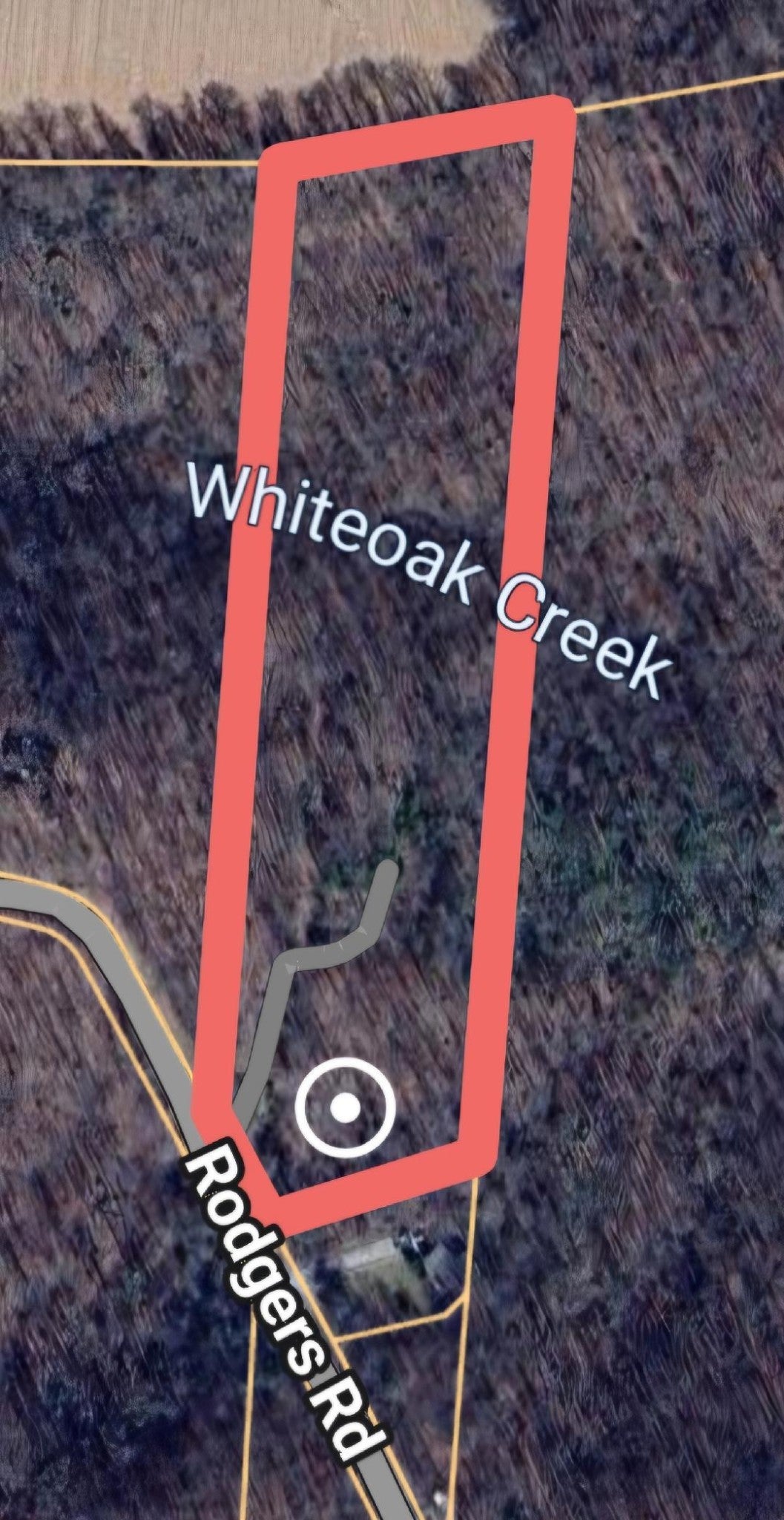 Photo of Listing #3117164