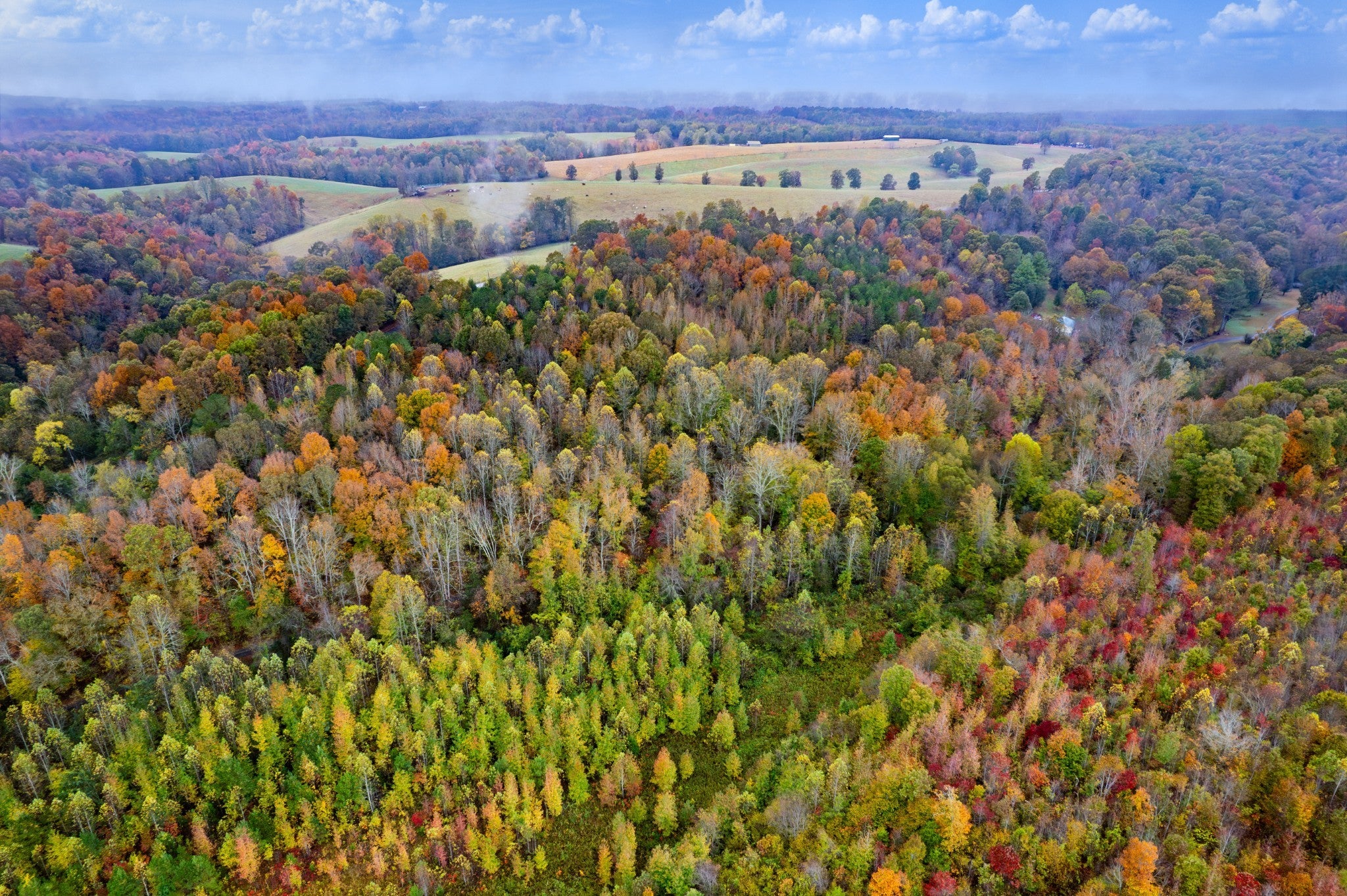 Photo of Listing #3117220