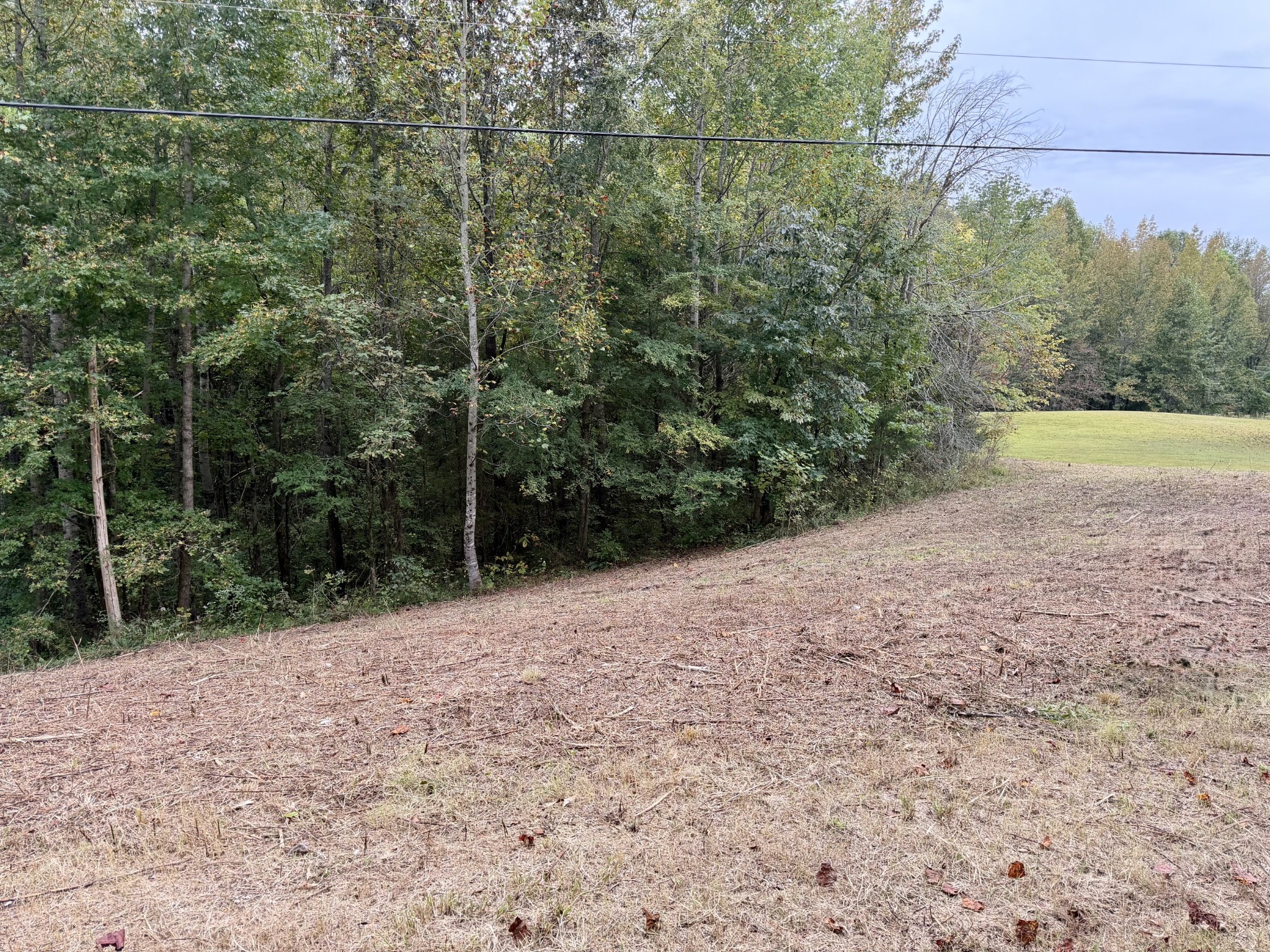 Home for sale in 0 Summer Breeze Dr Smithville, TN