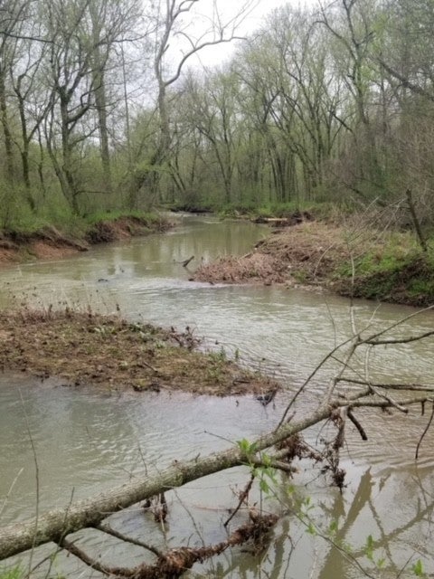 Photo of Listing #3118242