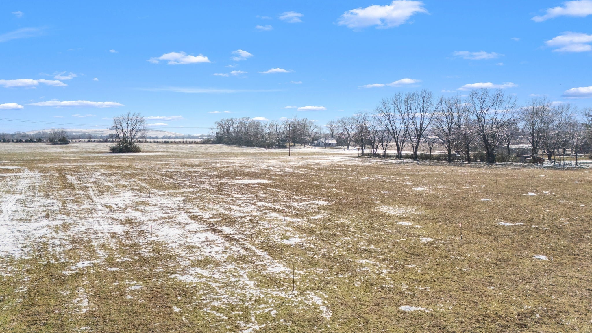 Photo of Listing #3118265