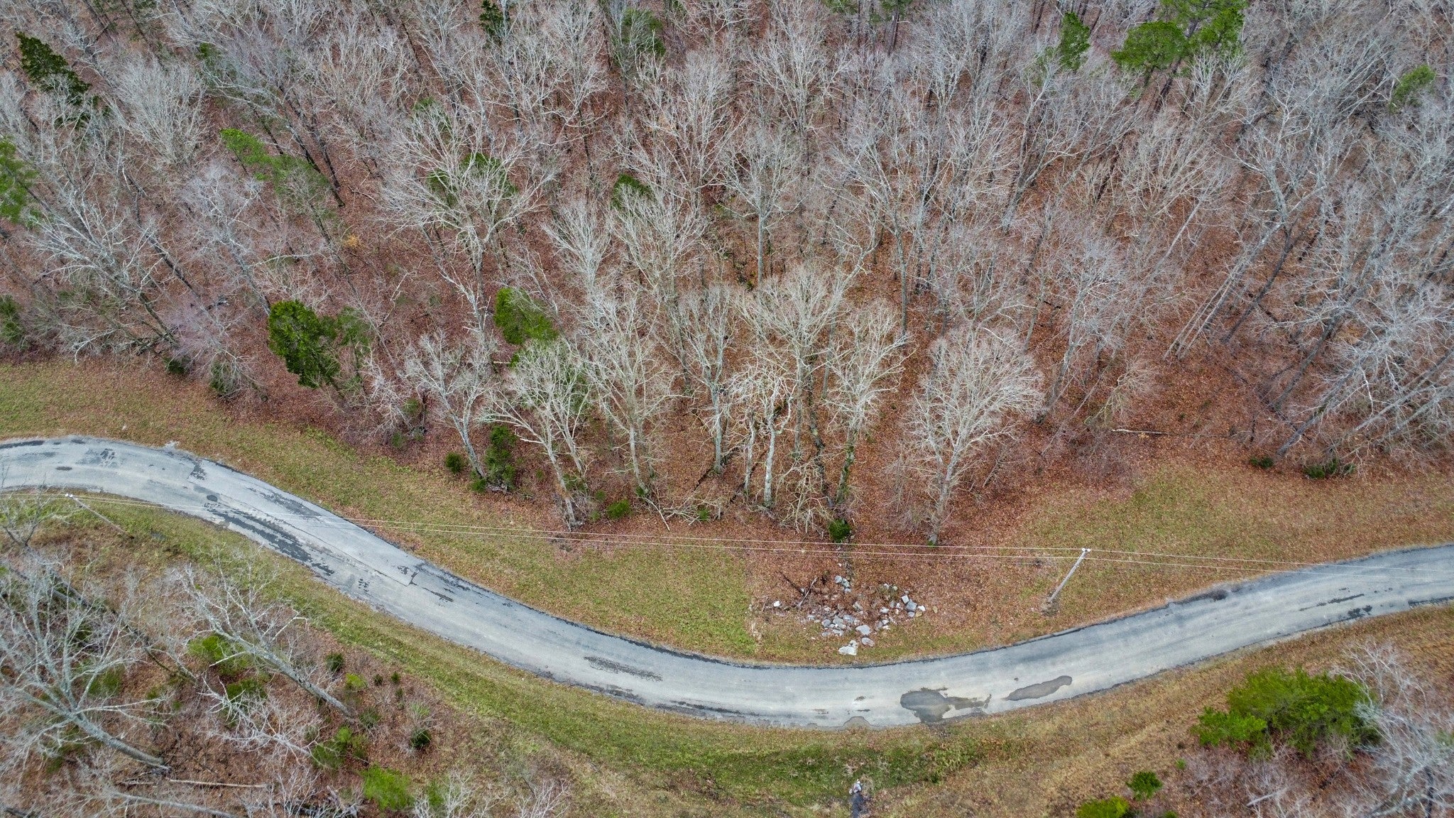 Photo of Listing #3118403