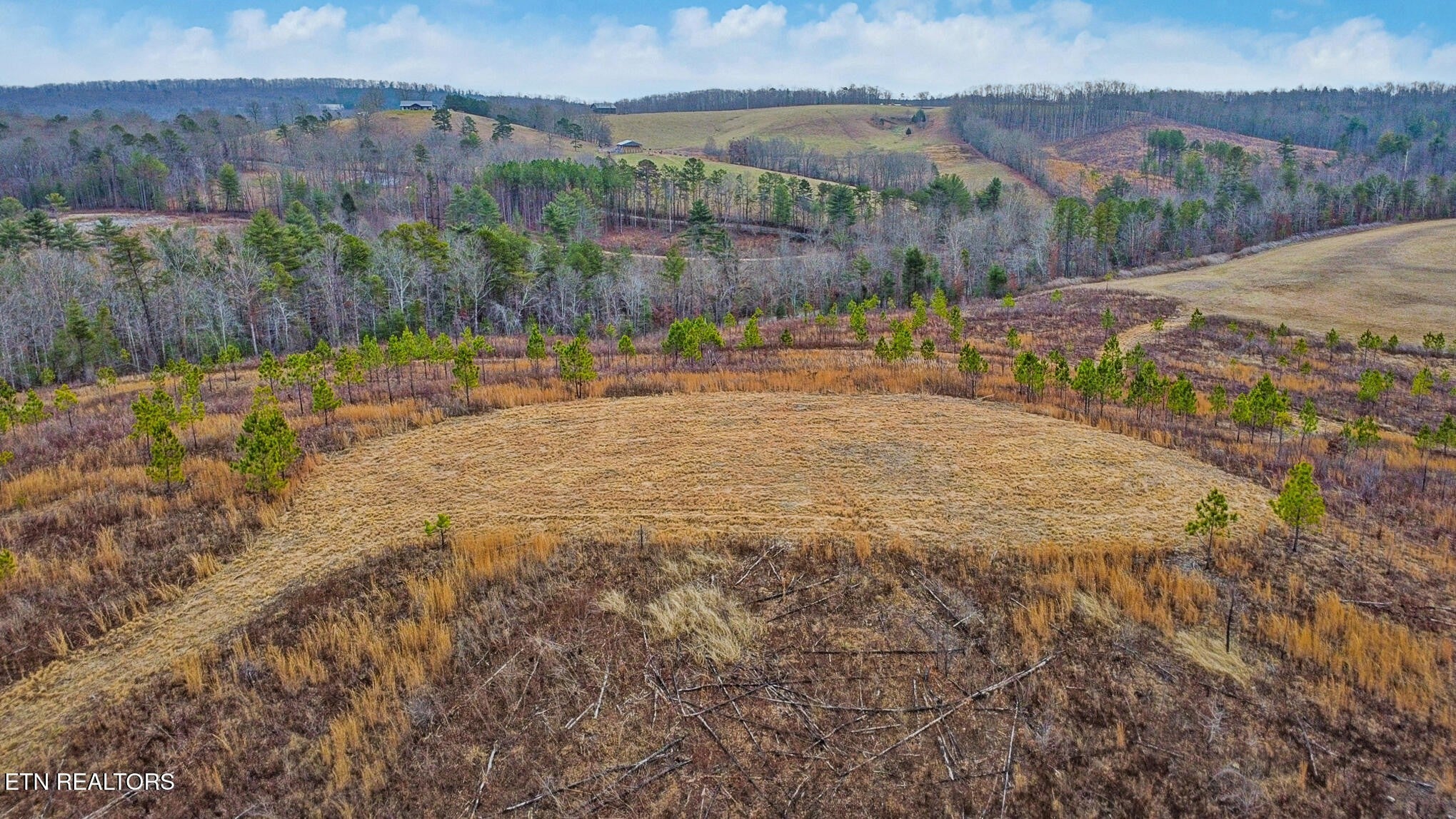 Photo of Listing #3118587