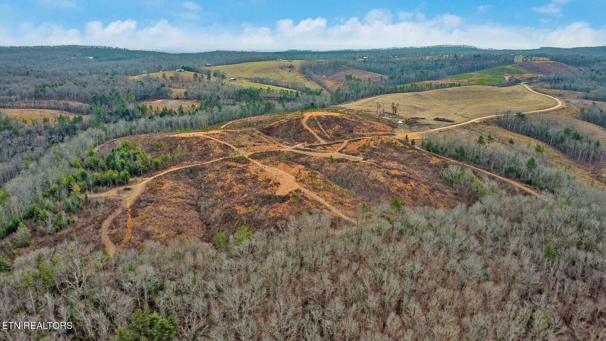 Photo of Listing #3118589