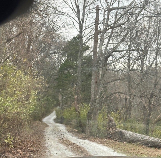 Photo of Listing #3118627