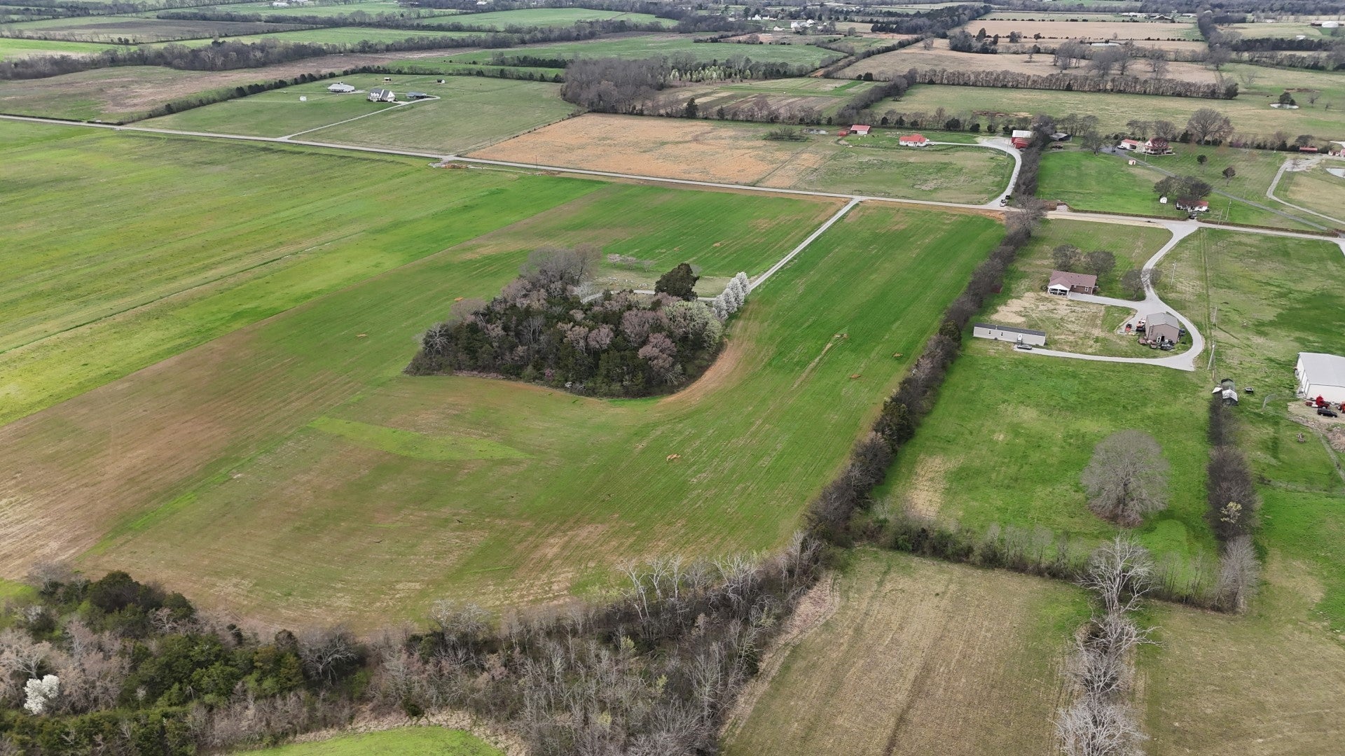 Photo of Listing #3118637